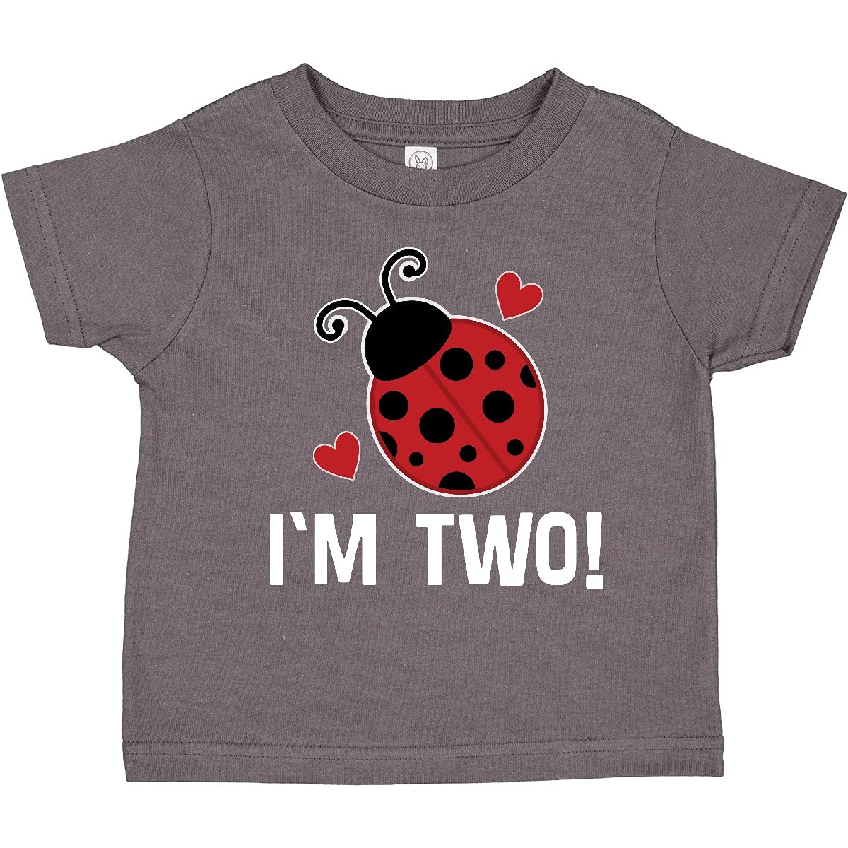 Inktastic 2nd Birthday Ladybug Toddler T-Shirt - Cute 2 Year Old Girl's Birthday Outfit for Party, Photo Shoot & Special Occasions