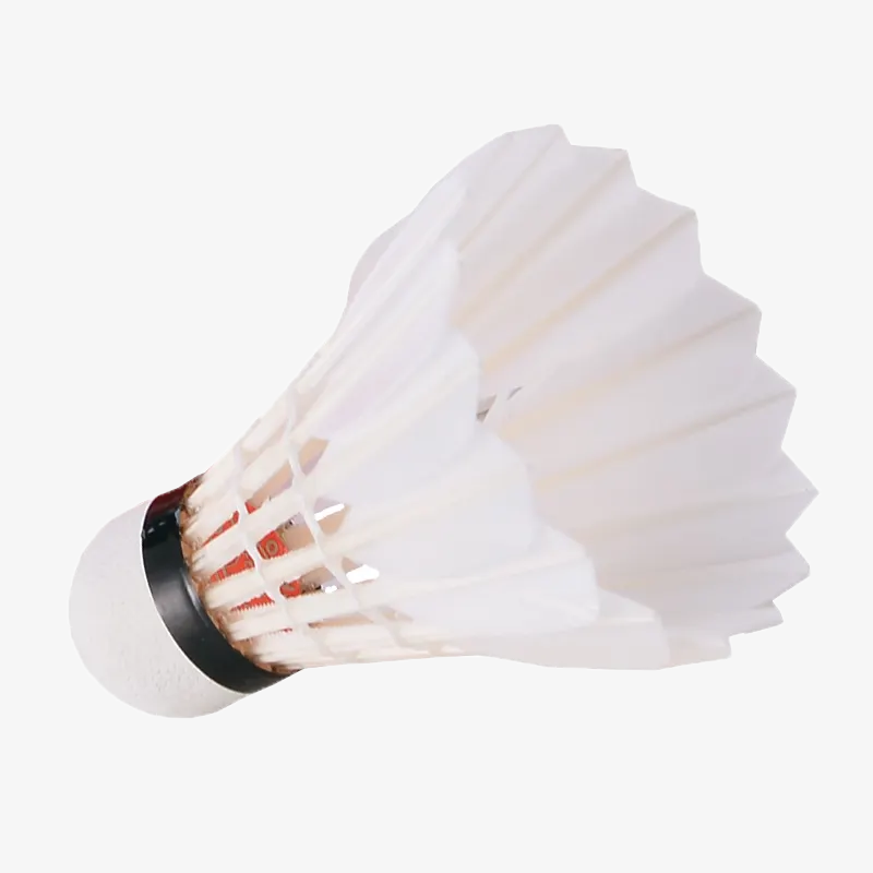 Chaopai Special Plus Badminton Shuttlecock - High Quality Feather Shuttlecocks for Professional & Recreational Play - Perfect for Tournaments, Training & Backyard Games