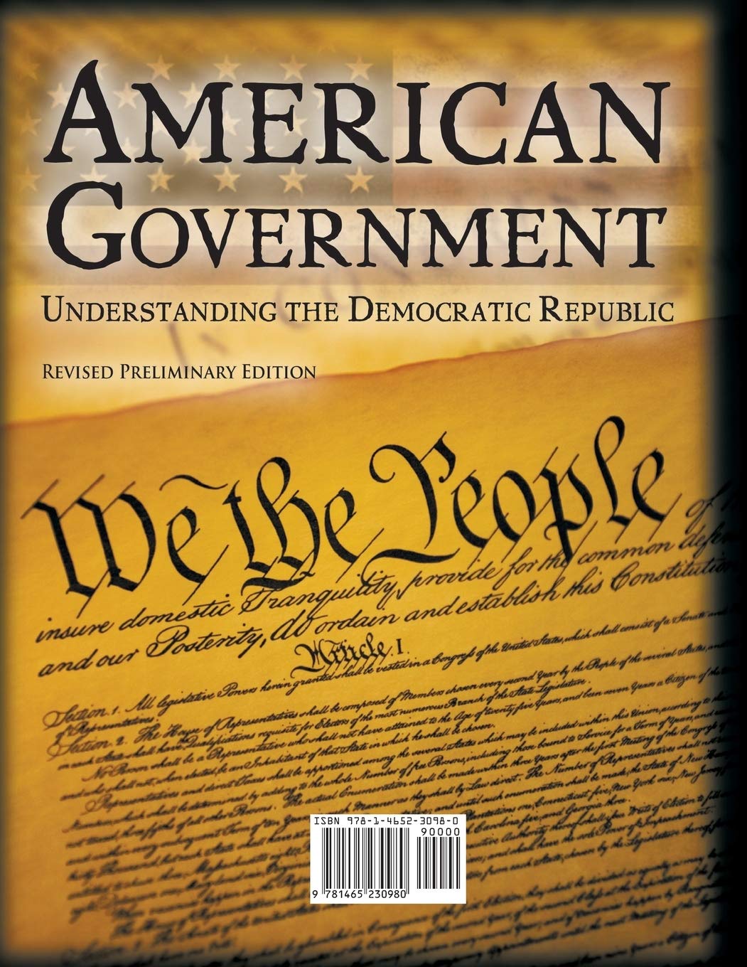 Understanding the Democratic Republic: A Guide to American Government - Perfect for Civics Students, History Buffs & Political Enthusiasts