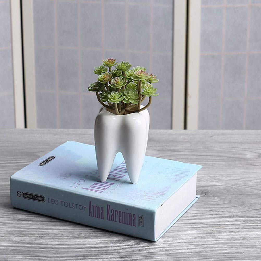 2 Pcs Creative Ceramic Succulent Plant Pots - Desktop Decorative Flower Pots for Plants, Cactus, Herbs | Perfect for Home, Office, Indoor Decor & Gift Ideas