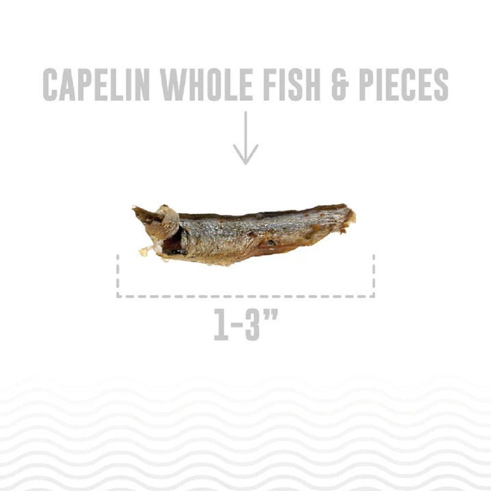 Premium Capelin Whole Fish Dog Treats - Natural, High-Protein Snacks for Dogs - Perfect for Training, Rewards & Dental Health