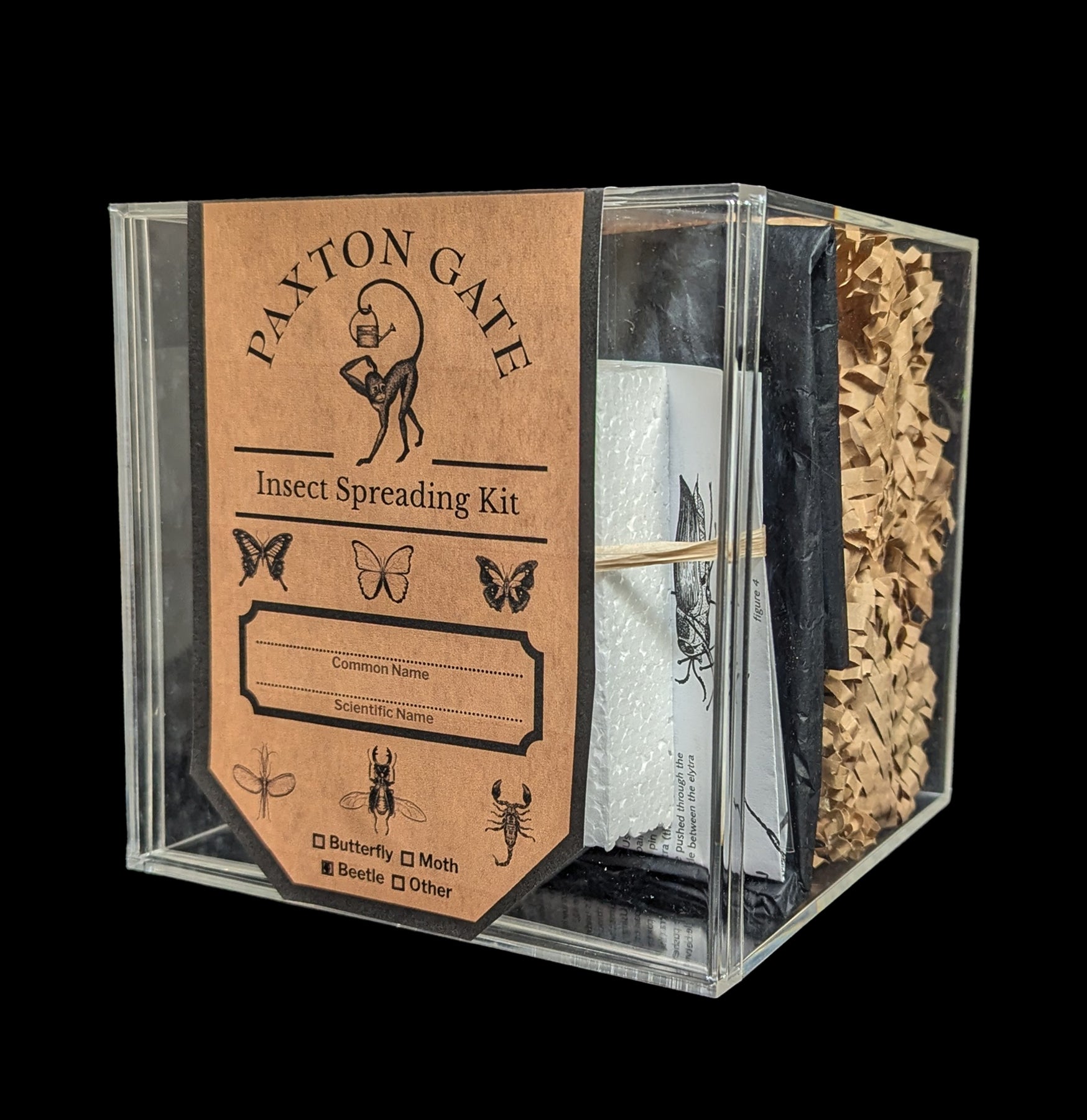 Paxton Gate Premium Insect Spreading Kit - Entomology Display Tools for Butterfly & Bug Collections - Perfect for Science Classrooms, Nature Studies & Taxidermy Hobbyists