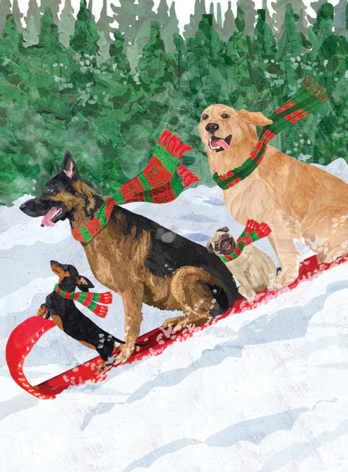 Dog Toboggan Winter Sled for Pets - Single Notecard Included - Perfect for Snow Play & Outdoor Adventures with Your Dog