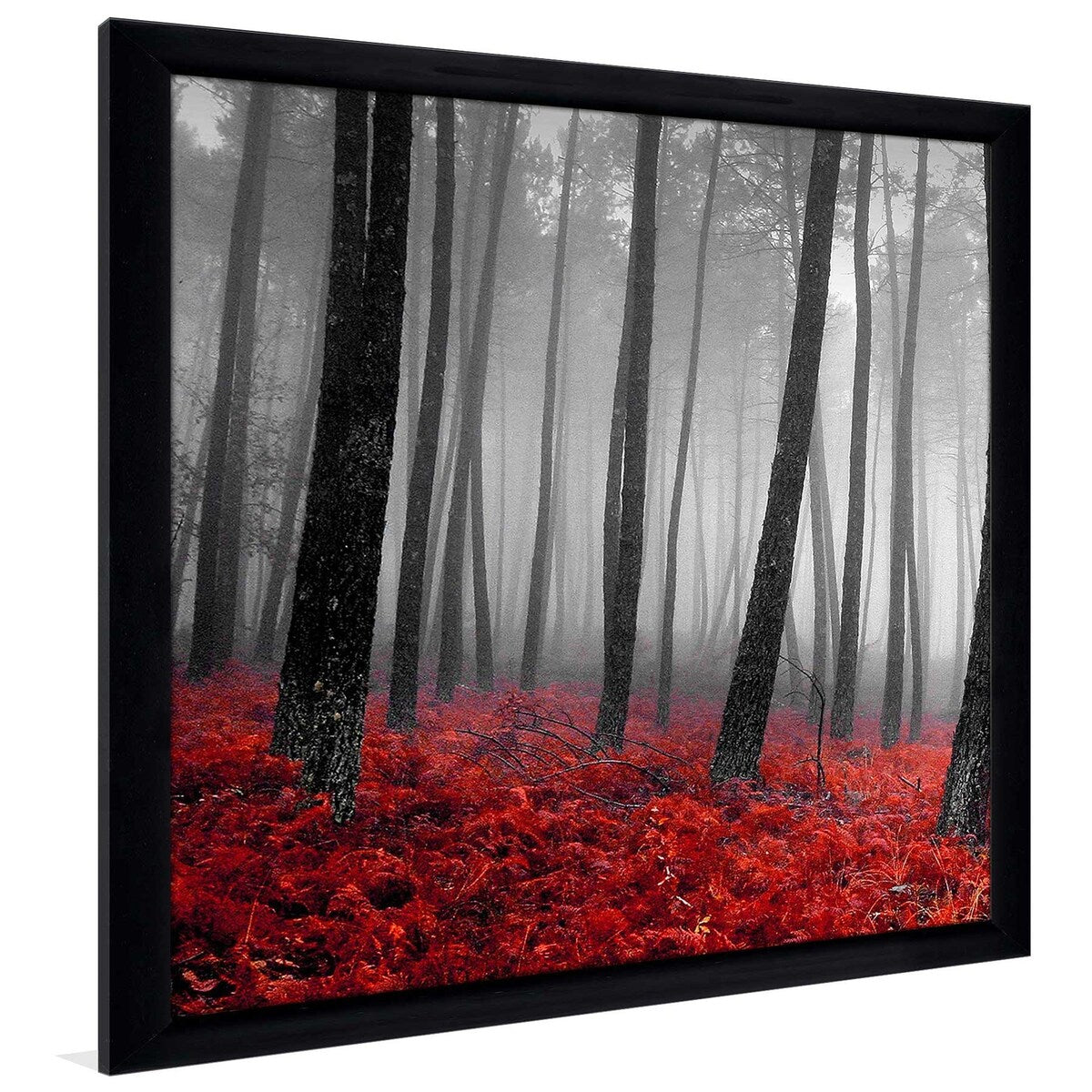 47 Autumn Woods Landscape Print on Acrylic - Premium Wall Art Decor for Living Room, Bedroom & Office | PhotoINC Studio