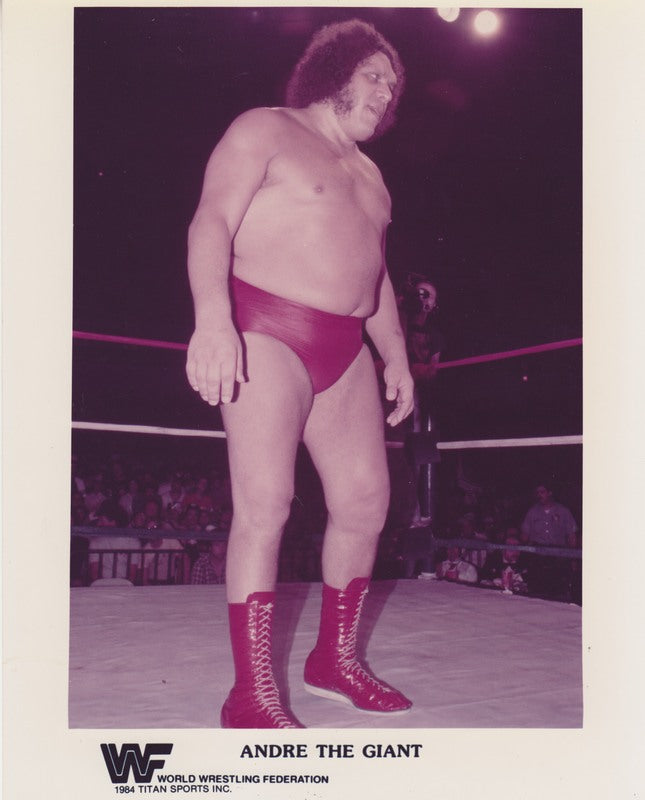 1984 Andre the Giant Color Poster - Vintage Wrestling Memorabilia for Fans & Collectors - Perfect for Home, Office & Man Cave Decor