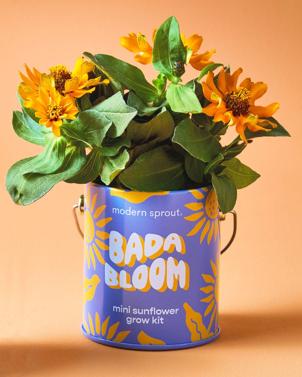 Bada Bloom Mini Sunflower Grow Kit - Complete Indoor Gardening Set with Seeds, Pot & Soil - Perfect for Home Decor, Gifts & Kids Educational Activities