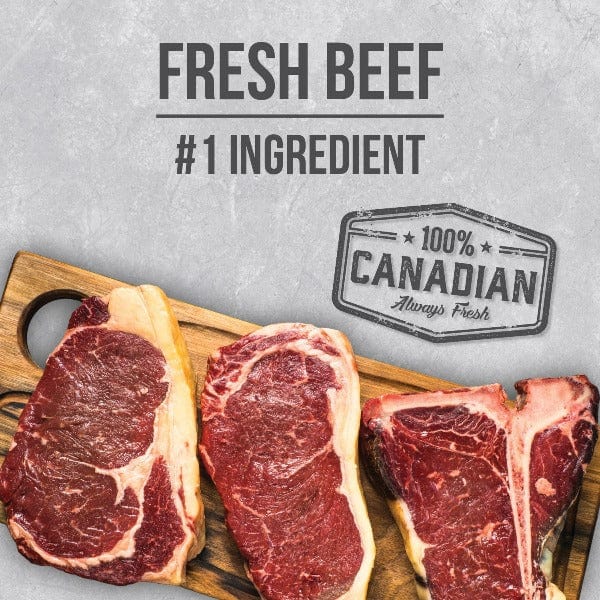 Nutrience Infusion Healthy Adult Beef Recipe Dry Dog Food - High Protein Grain-Free Kibble for Active Dogs - Perfect for Daily Meals & Training Rewards