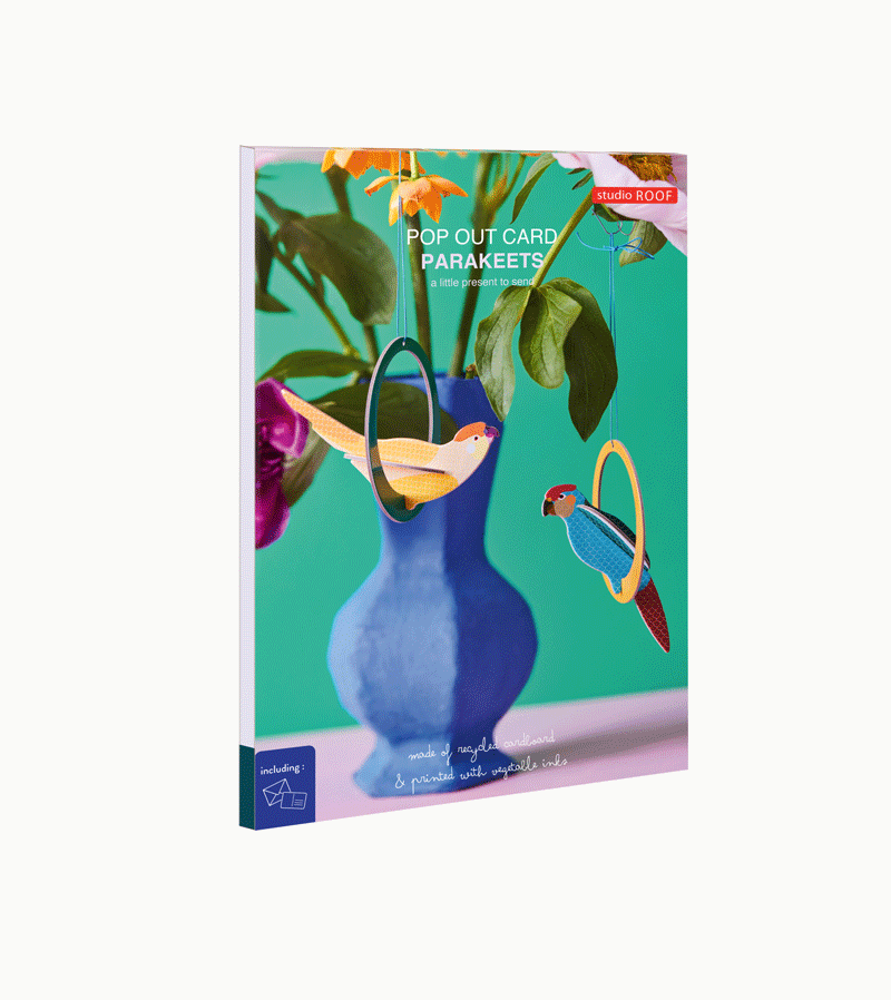3D Pop Out Parakeet Greeting Card - Handmade Bird Design for Birthdays, Anniversaries & Special Occasions | Perfect Gift for Bird Lovers by Studio ROOF