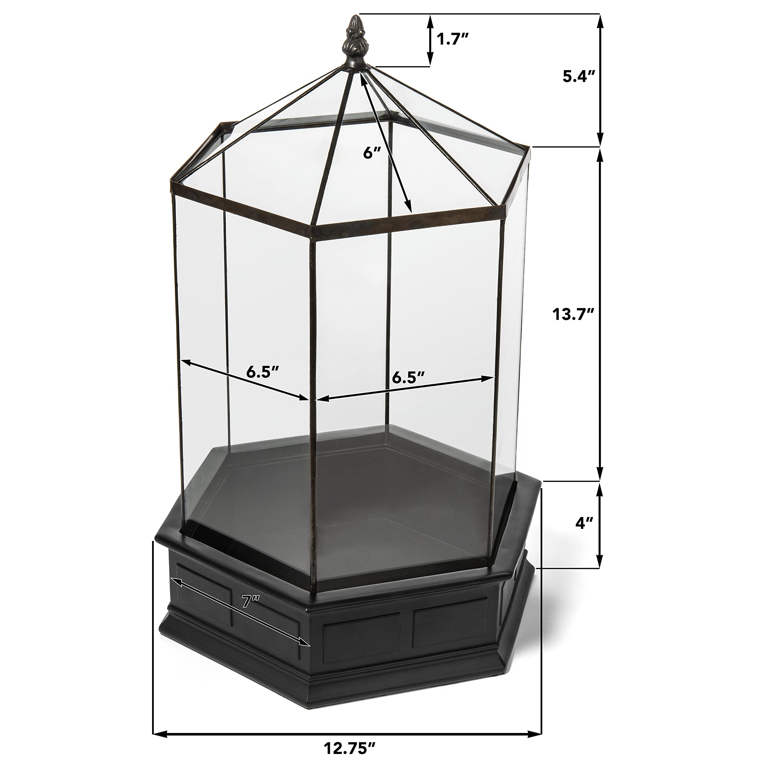 H Potter Large 6-Sided Glass Terrarium Wardian Case - Perfect for Indoor Plants, Succulents & Home Decor