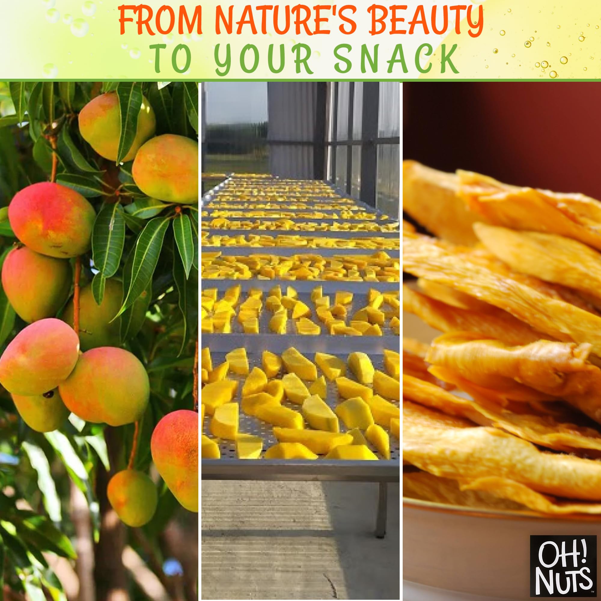 Oh! Nuts Dried Mango Slices - 1 LB Bag of Dehydrated Fruit Snacks - All Natural, No Sugar Added - Perfect for Healthy Snacking, Trail Mix & Baking - Packed in Resealable Zip Bag for Freshness - Great for Office, Hiking & Kids Lunch Boxes