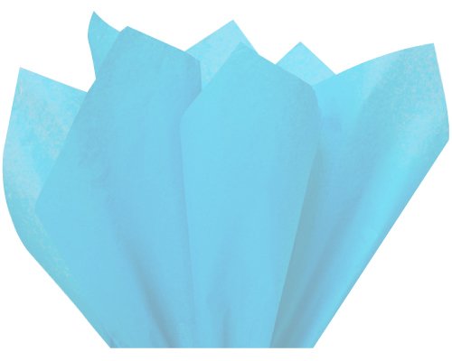 Eco-Friendly Kraft Paper Gift Bags with Light Blue Tissue Wrap - 8