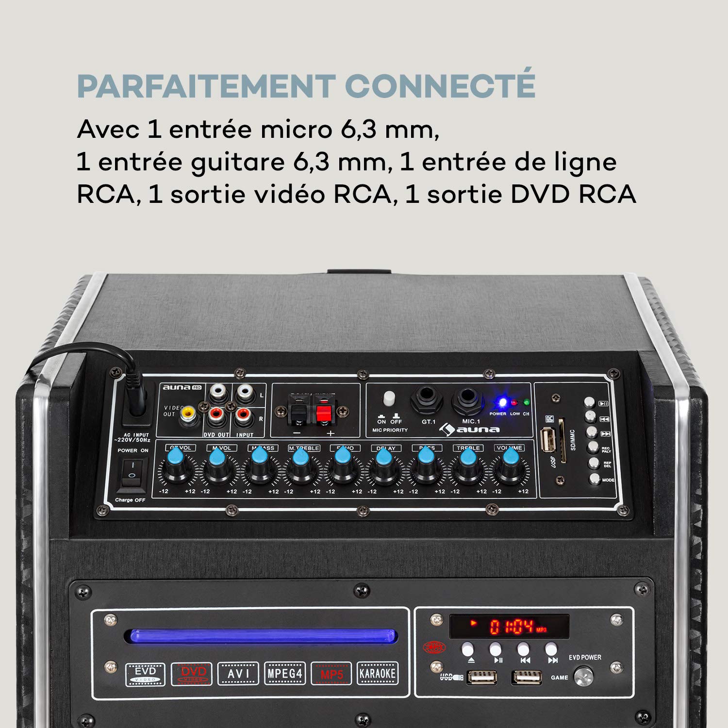 AUNA Pro DisGo DVD Box - Portable Sound System with Built-in DVD Player, 300W Max Power, 2 x 10 Inch Subwoofers, Bluetooth/USB/SD/Micro UHF Wireless, Rechargeable Battery & Remote - Perfect for Outdoor Parties, Home Theater & Events