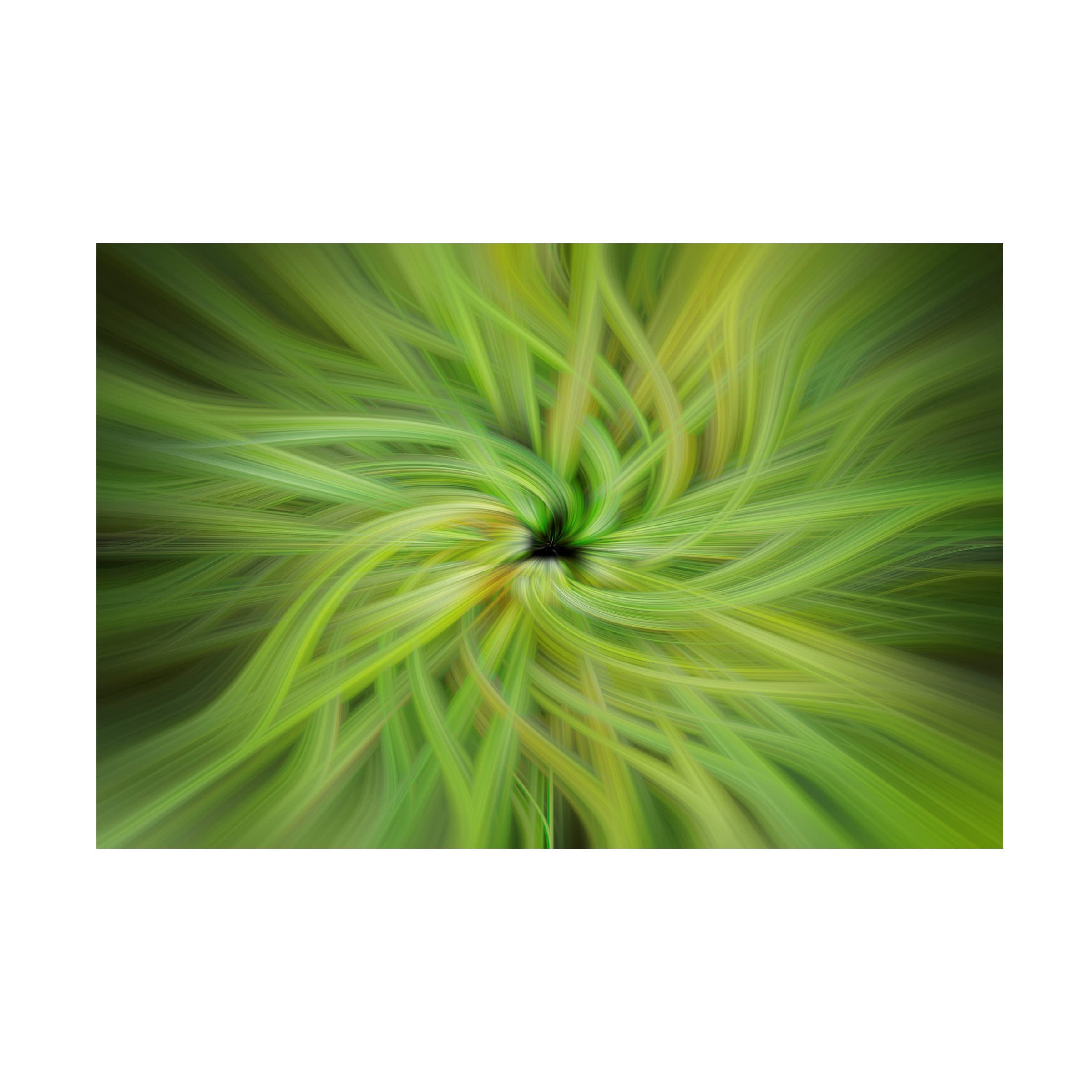 Trademark Fine Art 'Garden Twirl' Canvas Wall Art by Lori Hutchison - Floral Home Decor for Living Room, Bedroom & Office