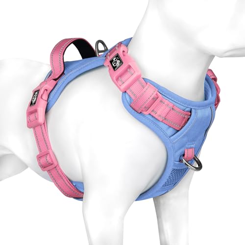 Baby Blue Base & Pink Straps