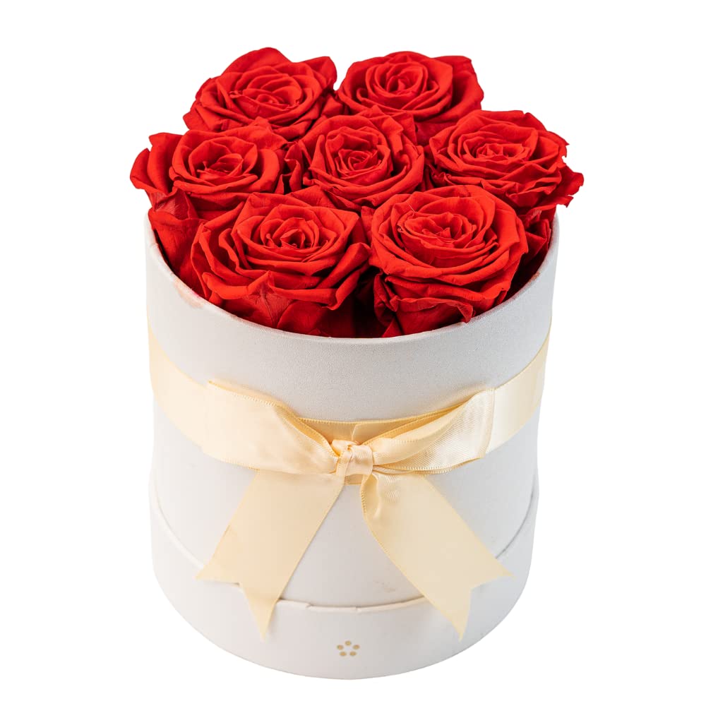 Premium AROMEO 7 Red Roses Bouquet - Fresh Cut Flowers for Valentine's Day, Anniversary, Birthday & Christmas Gifts | Same Day or Next Day Delivery | Perfect for Her, Wife, Girlfriend, Mom & Special Occasions | Elegant Home Decor & Romantic Gift Idea
