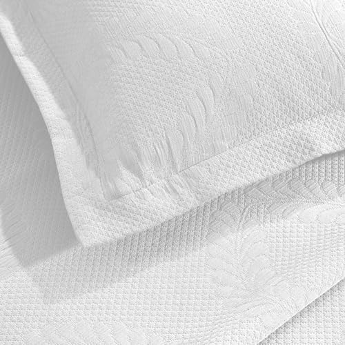 White 02