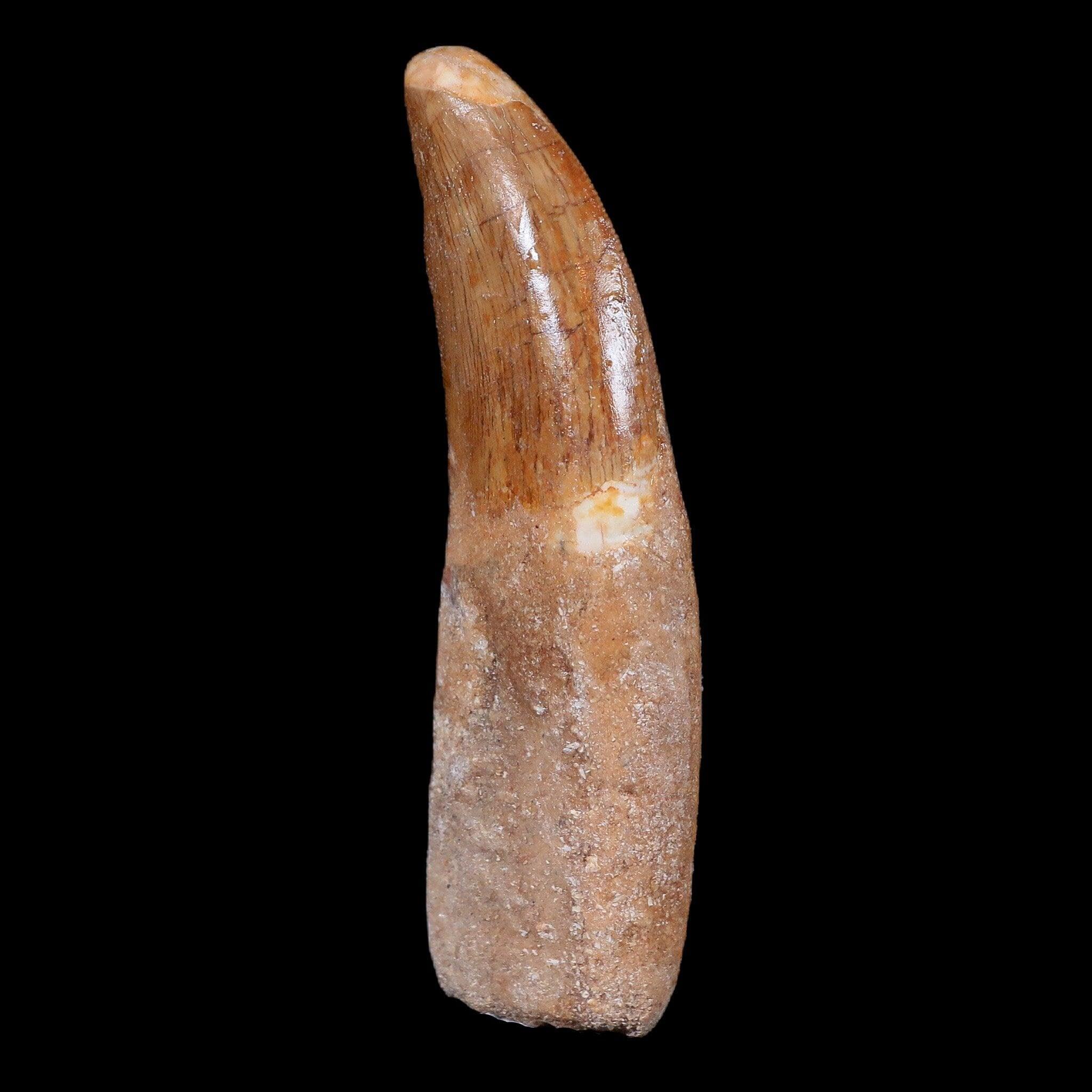 XL 3.3