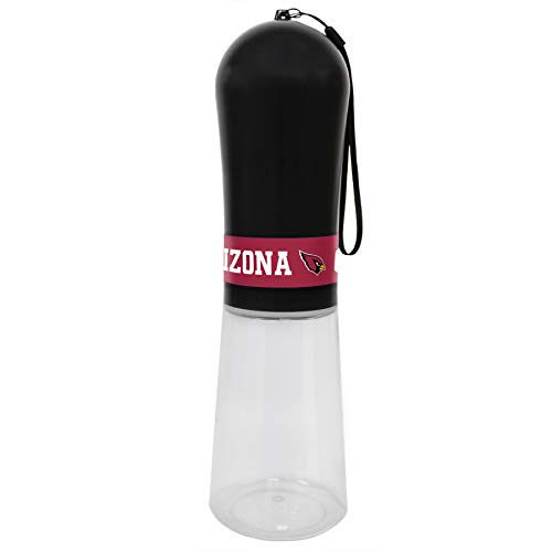 Arizona Cardinals