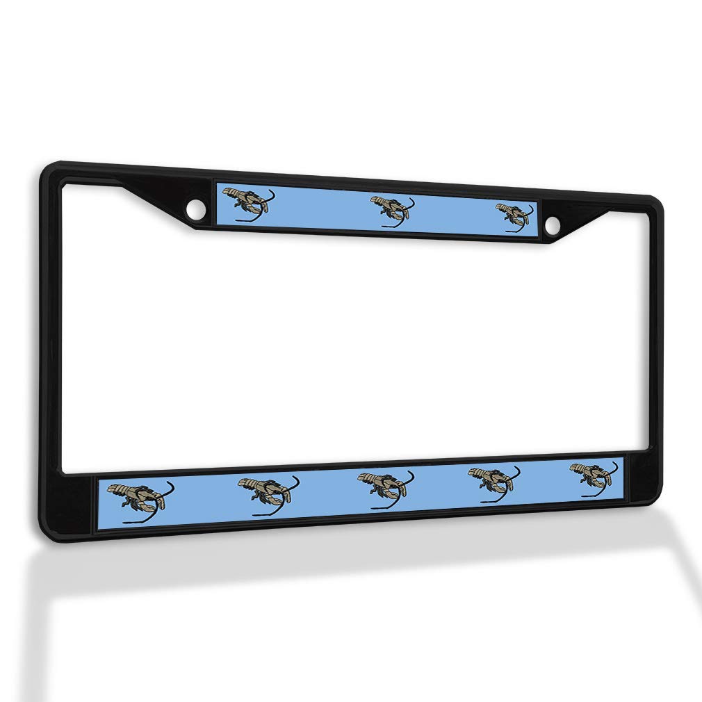 Premium Metal Insert License Plate Frame - Rustproof & Weatherproof Car Accessories (Black, 2 Holes, Solid Insert) for Cars, Trucks & SUVs - Perfect for Outdoor Protection & Customization