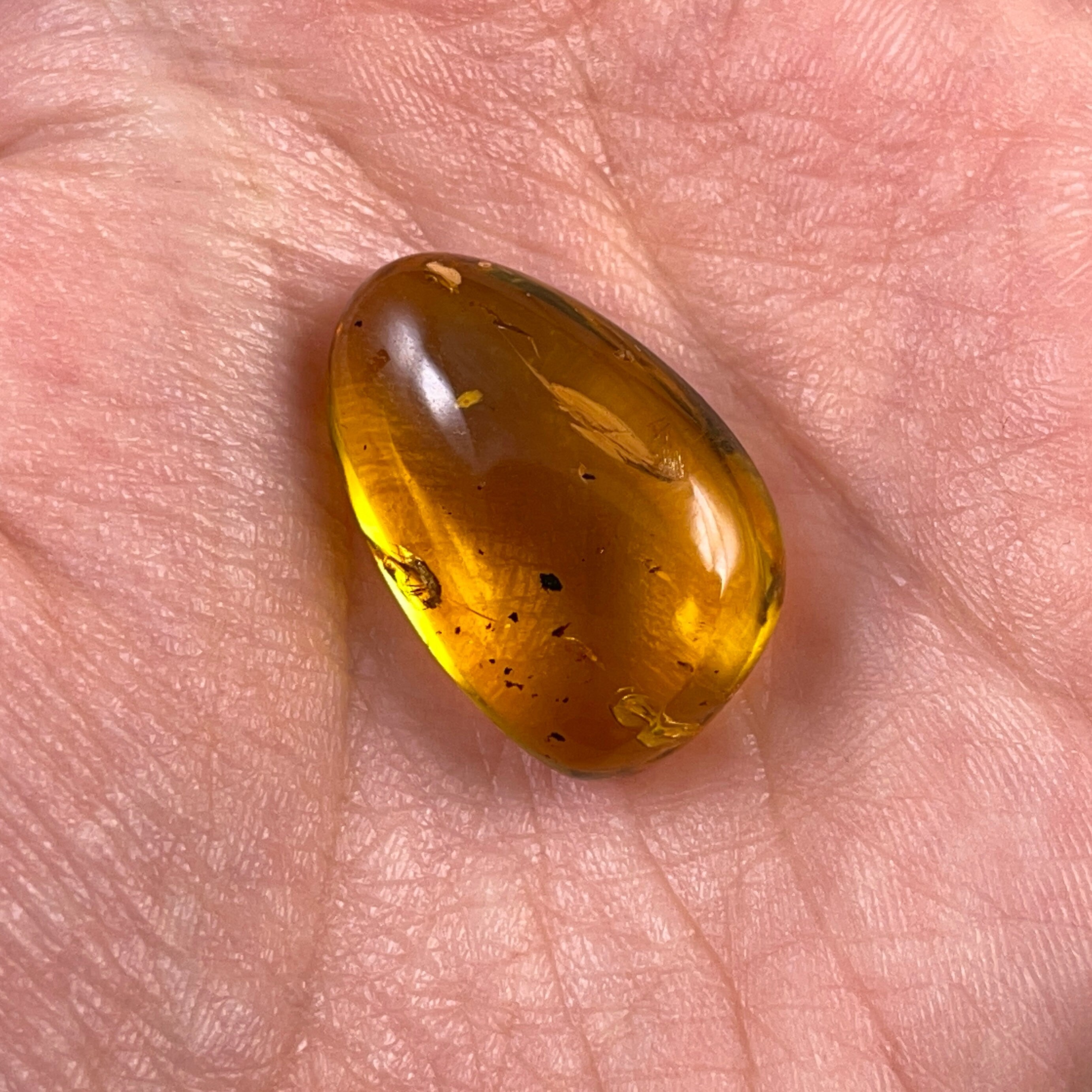 AMBER Stone with Real Insect Fossil - Natural Tumbled Crystals for Healing & Collection - Perfect for Jewelry Making, Meditation & Home Decor
