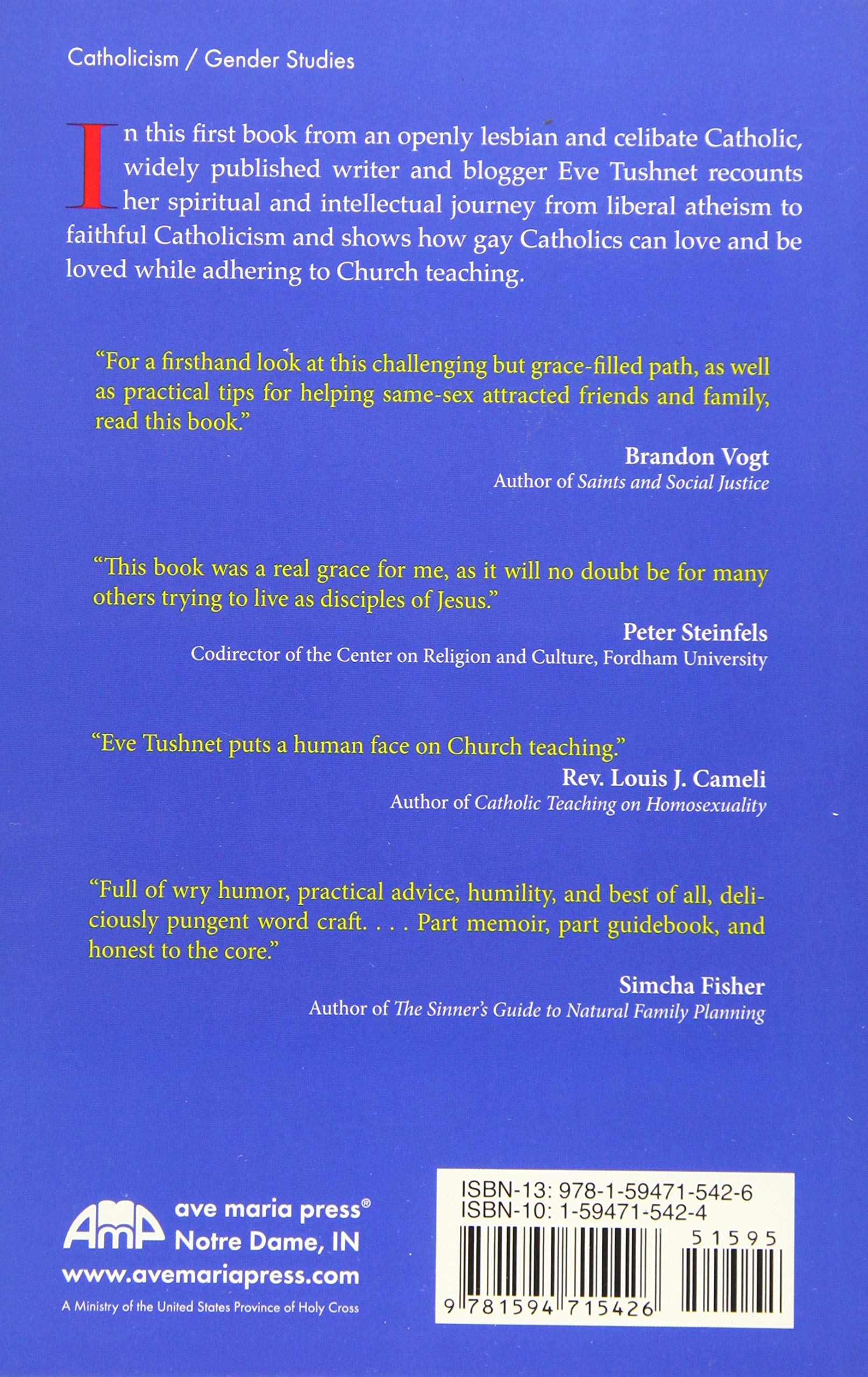Gay and Catholic: Navigating Faith and Identity - Inspirational Book for LGBTQ+ Christians & Allies | Perfect for Personal Growth, Church Discussions & Support Groups