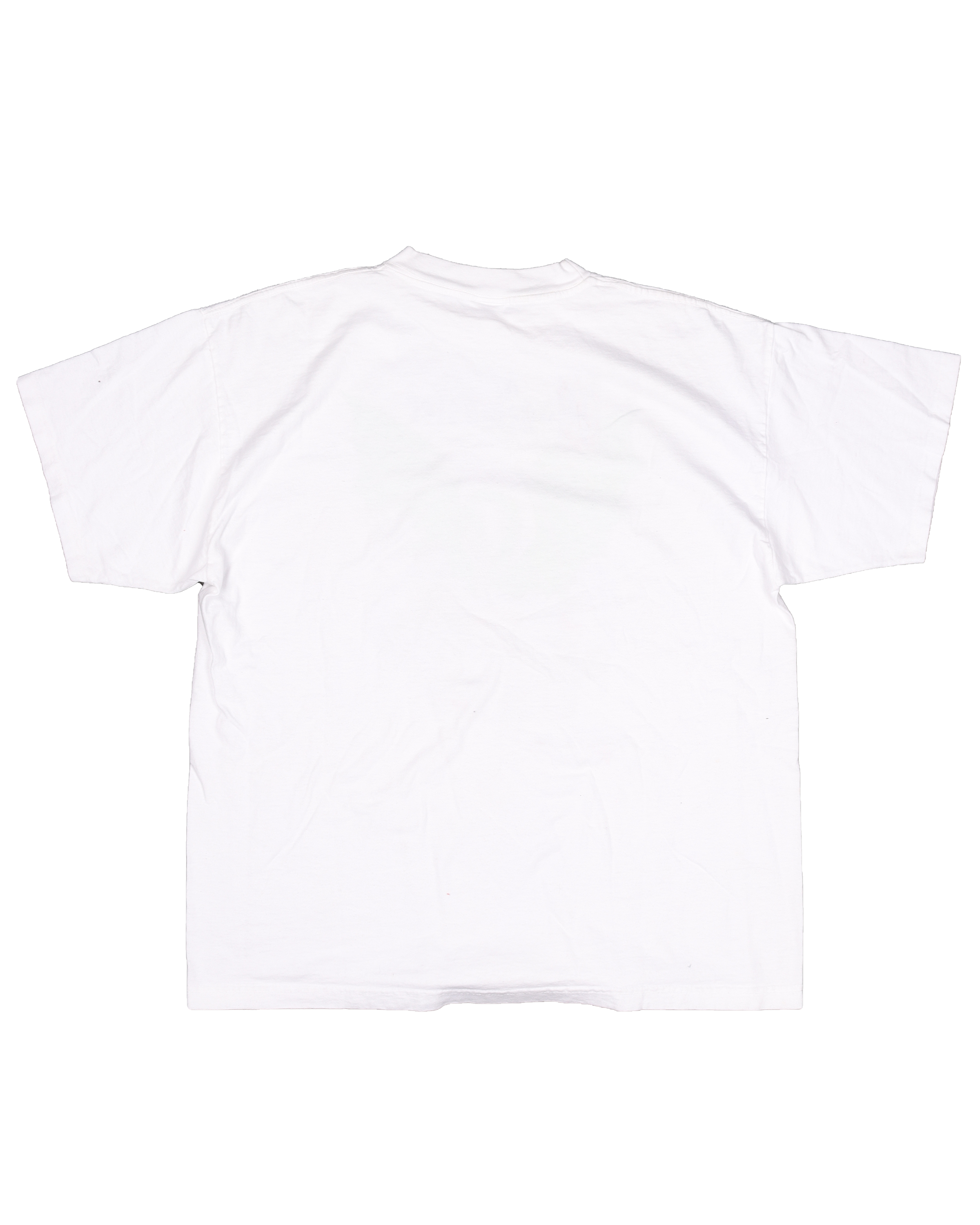 The Pagemaster Graphic T-Shirt - Vintage Cartoon Movie Tee for Men & Women - Casual Wear & Pop Culture Gifts