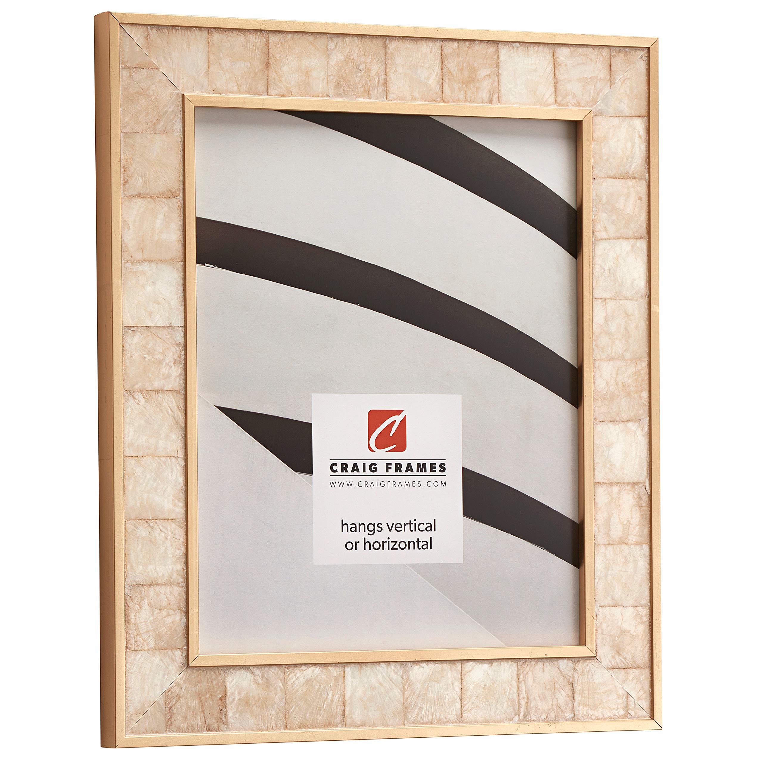 Craig Frames 8x10 Inch Gold Mother of Pearl Picture Frame for Wall Decor