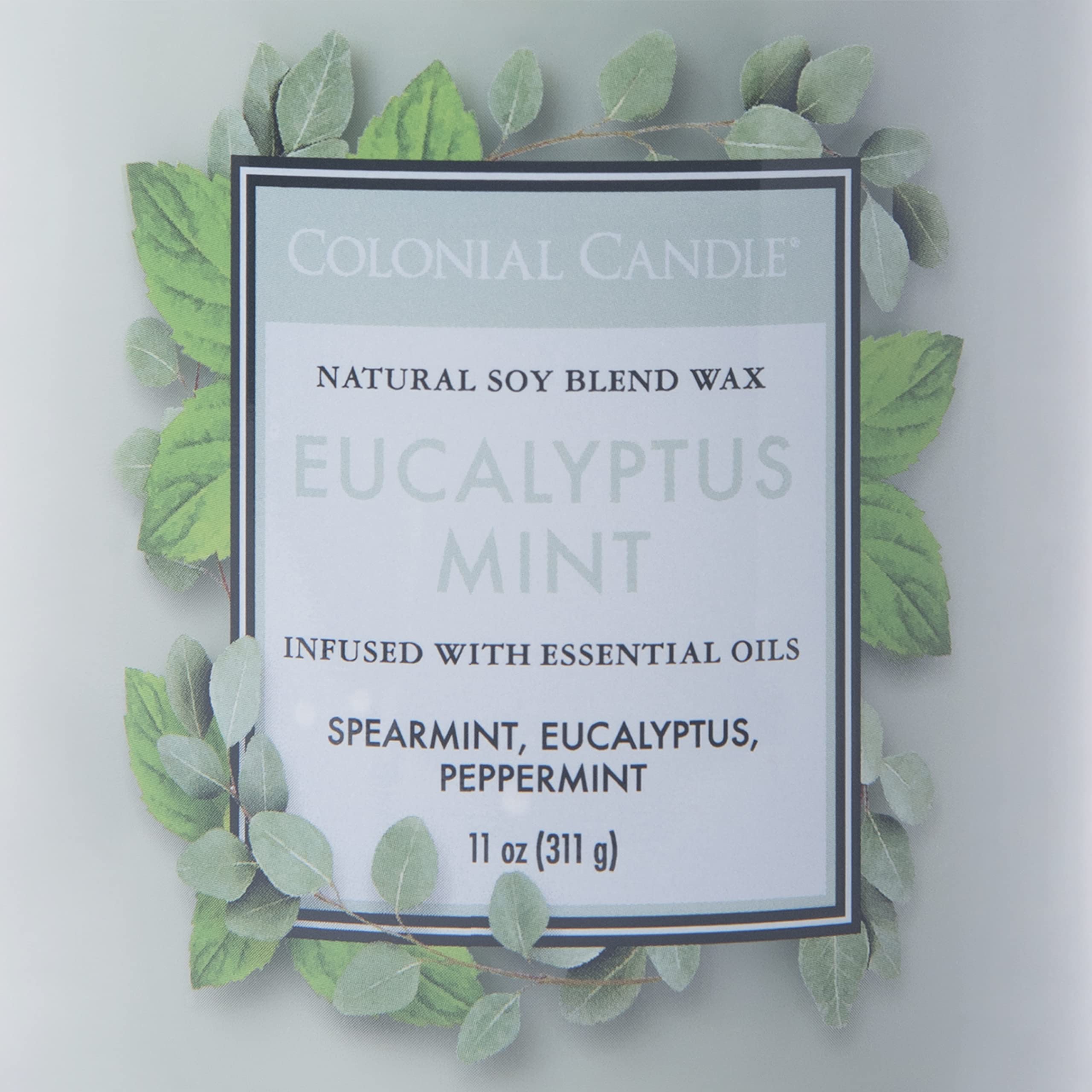 Colonial Candle Eucalyptus Mint Scented Jar Candle - 2 Wick, 11 oz (80 Hours Burn Time) | Classic Cylinders Collection | Green Home Decor for Relaxation, Spa & Aromatherapy