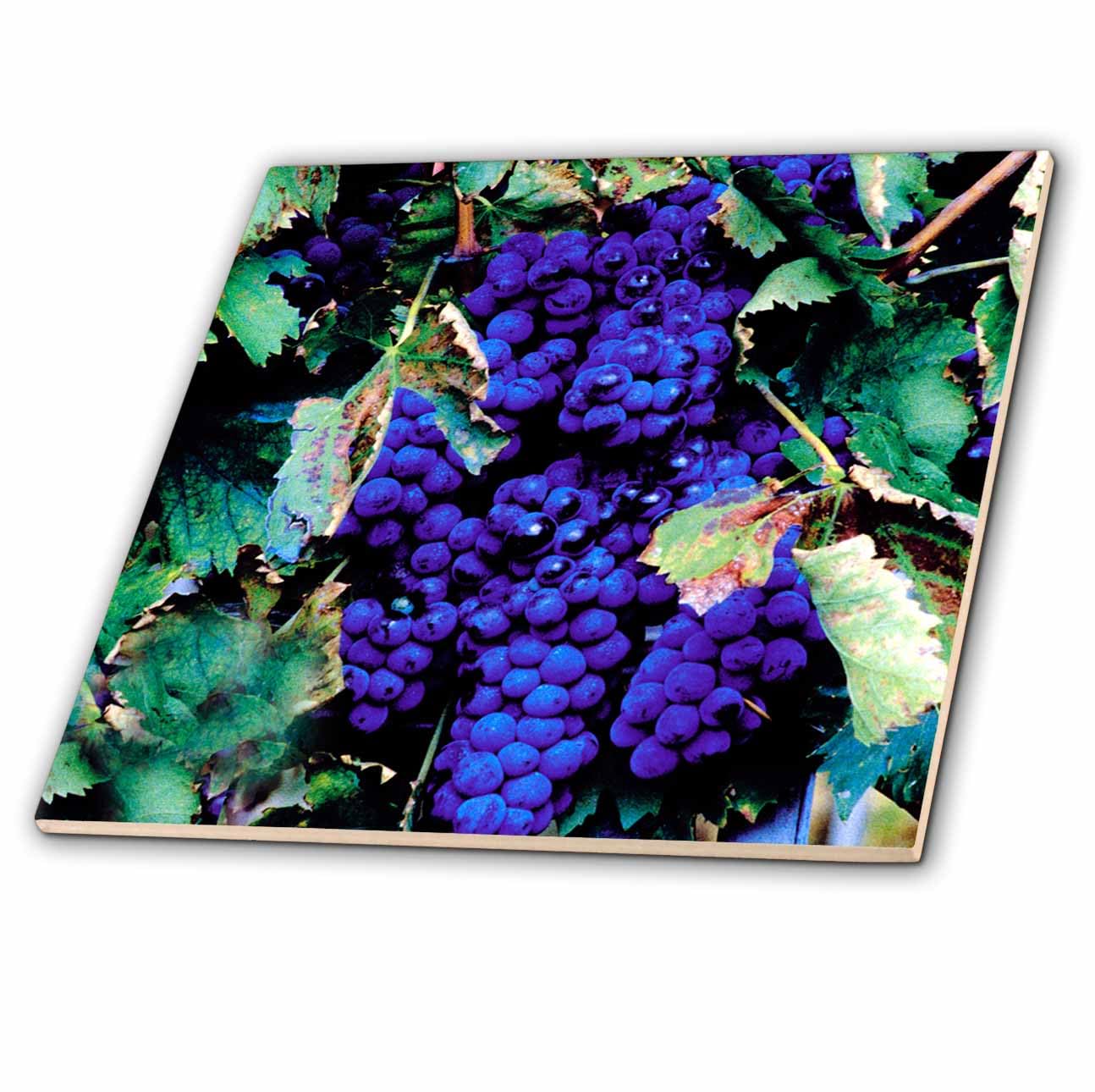 3dRose Grapes Ceramic Tile - 4 Inch Decorative Wall Art for Kitchen, Bathroom & Home Decor | Perfect for Backsplash, Coasters & DIY Projects