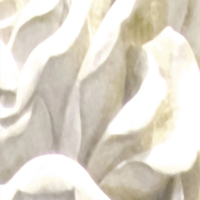 Premium White Rose Floral Wallpaper - Elegant Home Wall Decor for Living Room, Bedroom & Dining Room