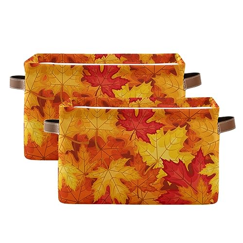 Maple Leaves