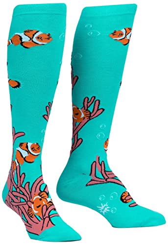 Clownfish