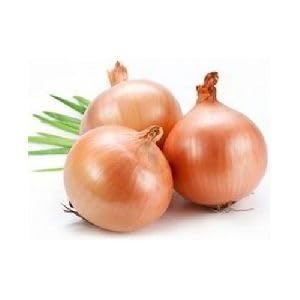 Fresh Yellow Onions - USA Grown, Non-GMO, Bulk 10lb Bag | Perfect for Cooking, Salads & Meal Prep | High-Quality Fresh Produce for Restaurants & Home Chefs