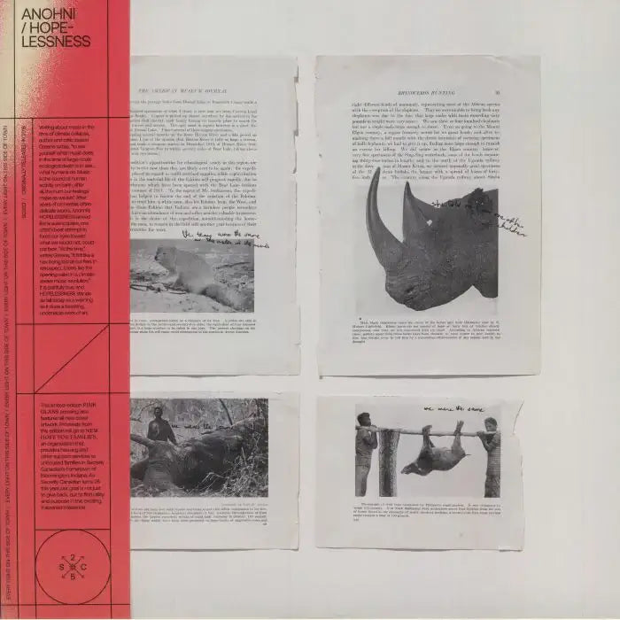 Anohni - Hopelessness Vinyl Record | Indie Electronic Music Album | Perfect for Relaxation & Deep Listening at Home