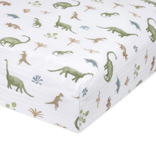 Dino Jungle