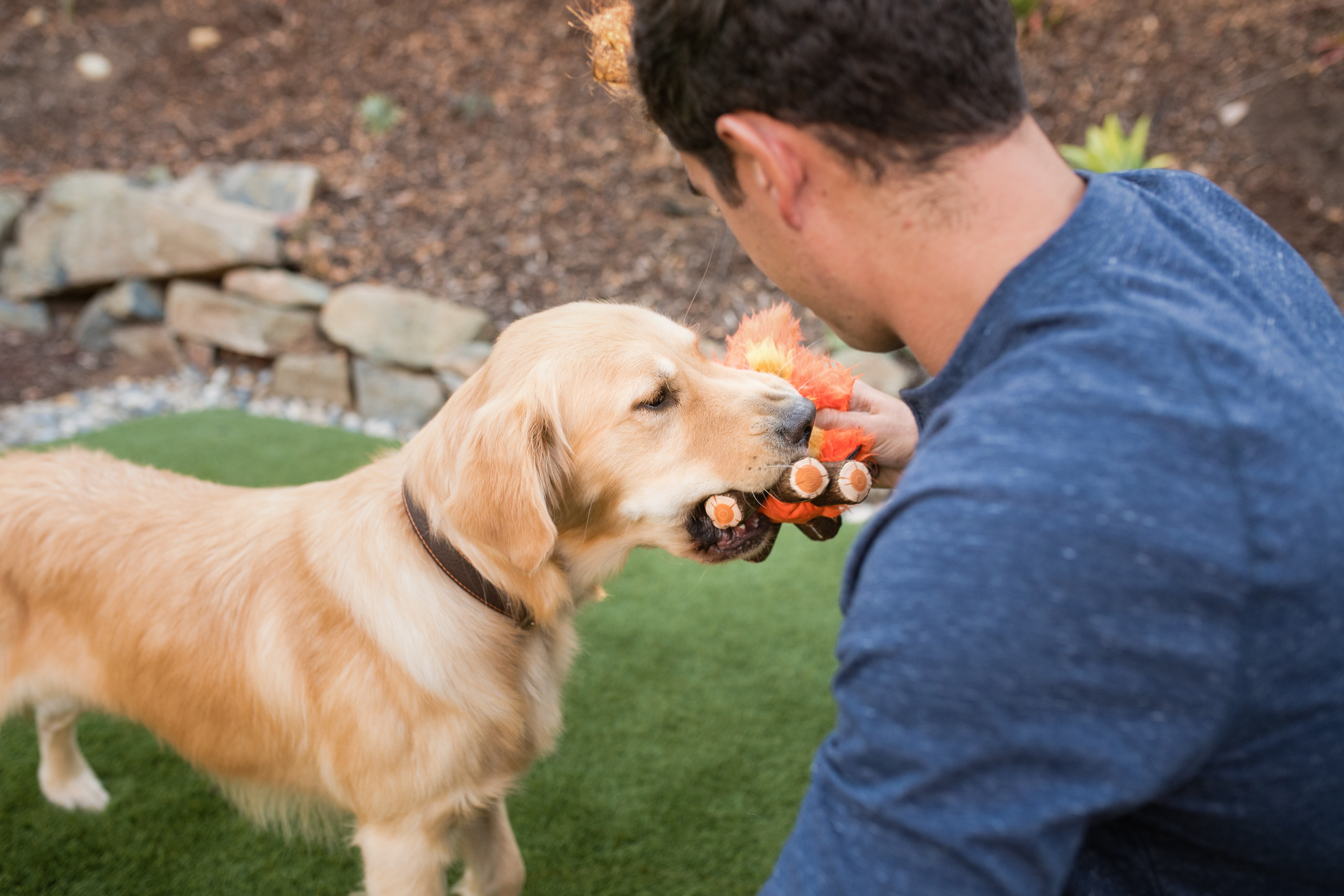 La Fogata Dog Chew Toy - Camp Corbin™ Plush Squeaky Chew Toy for Dogs | Pet P.L.A.Y. | Perfect for Playtime, Training & Outdoor Adventures