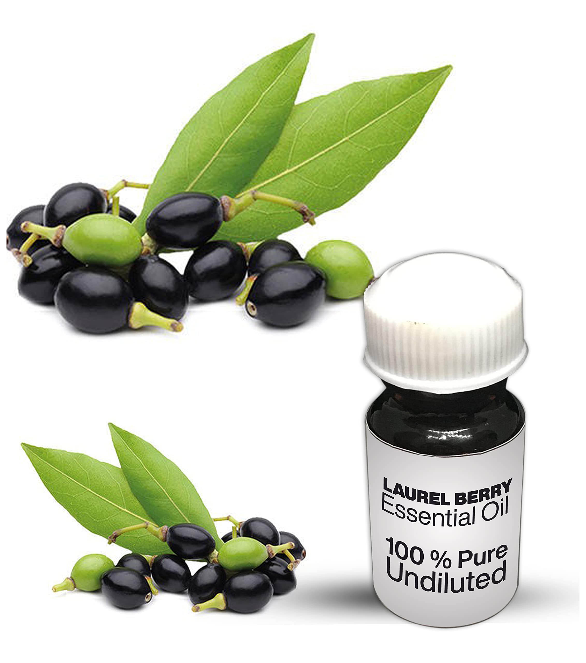 100% Pure Laurel Berry Essential Oil - Undiluted, Premium Quality for Aromatherapy & Massage (100ml) - Relaxation, Stress Relief & Skin Care