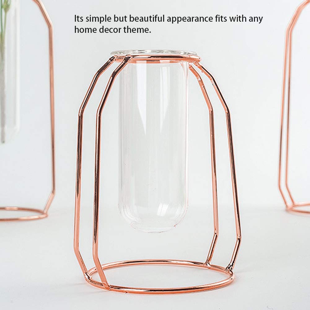 Valentine's Day Hydroponic Glass Flower Vase - Elegant Rose Gold Planter for Home, Wedding & Office Decor | Perfect for Indoor Plants, Table Centerpieces and Gift Giving