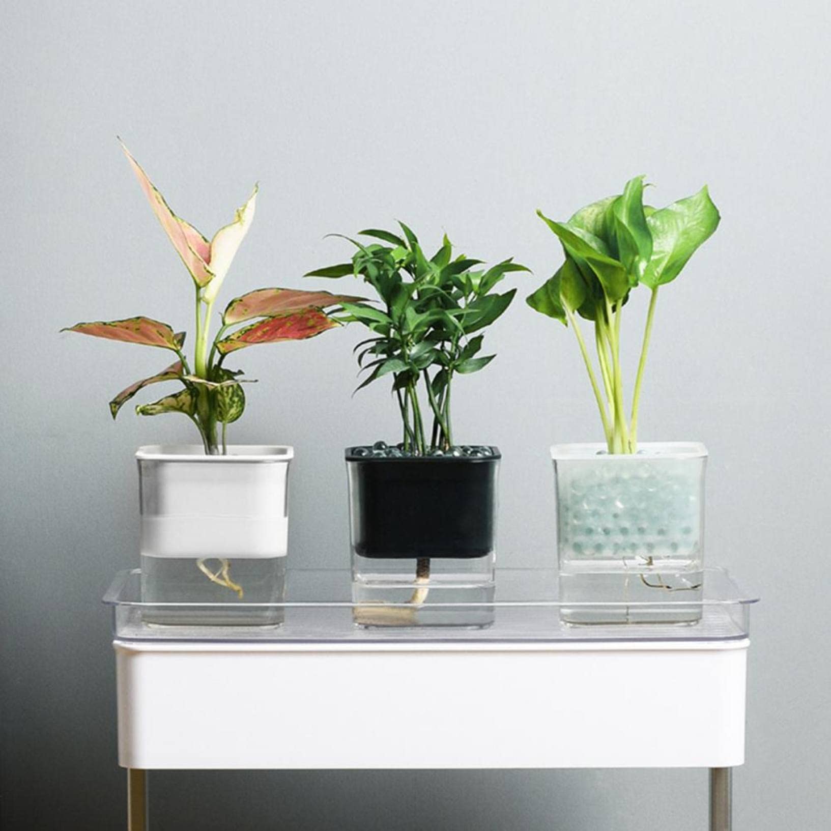 Transparent Self-Watering Square Planter - Modern Flower Pot for Indoor Plants, Succulents & Herbs | Perfect for Home, Office, Balcony & Desk Decor | Auto Water Absorption System for Easy Plant Care
