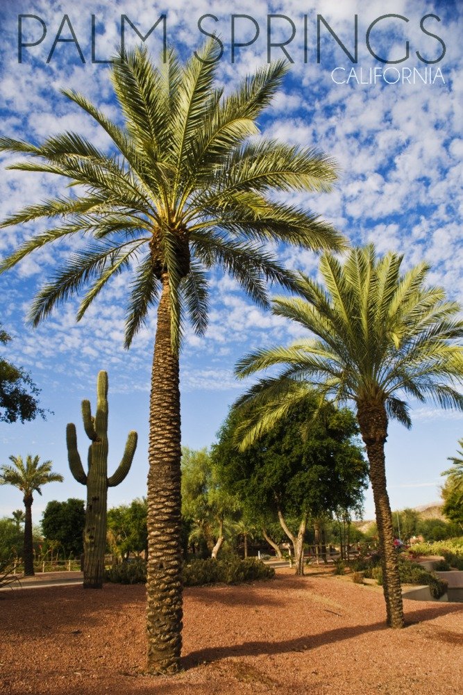 24x36 Signed Palm Springs California Art Print - Palm Trees & Cactus Wall Decor Poster | Vintage Desert Landscape Painting for Living Room, Office & Bedroom Decor
