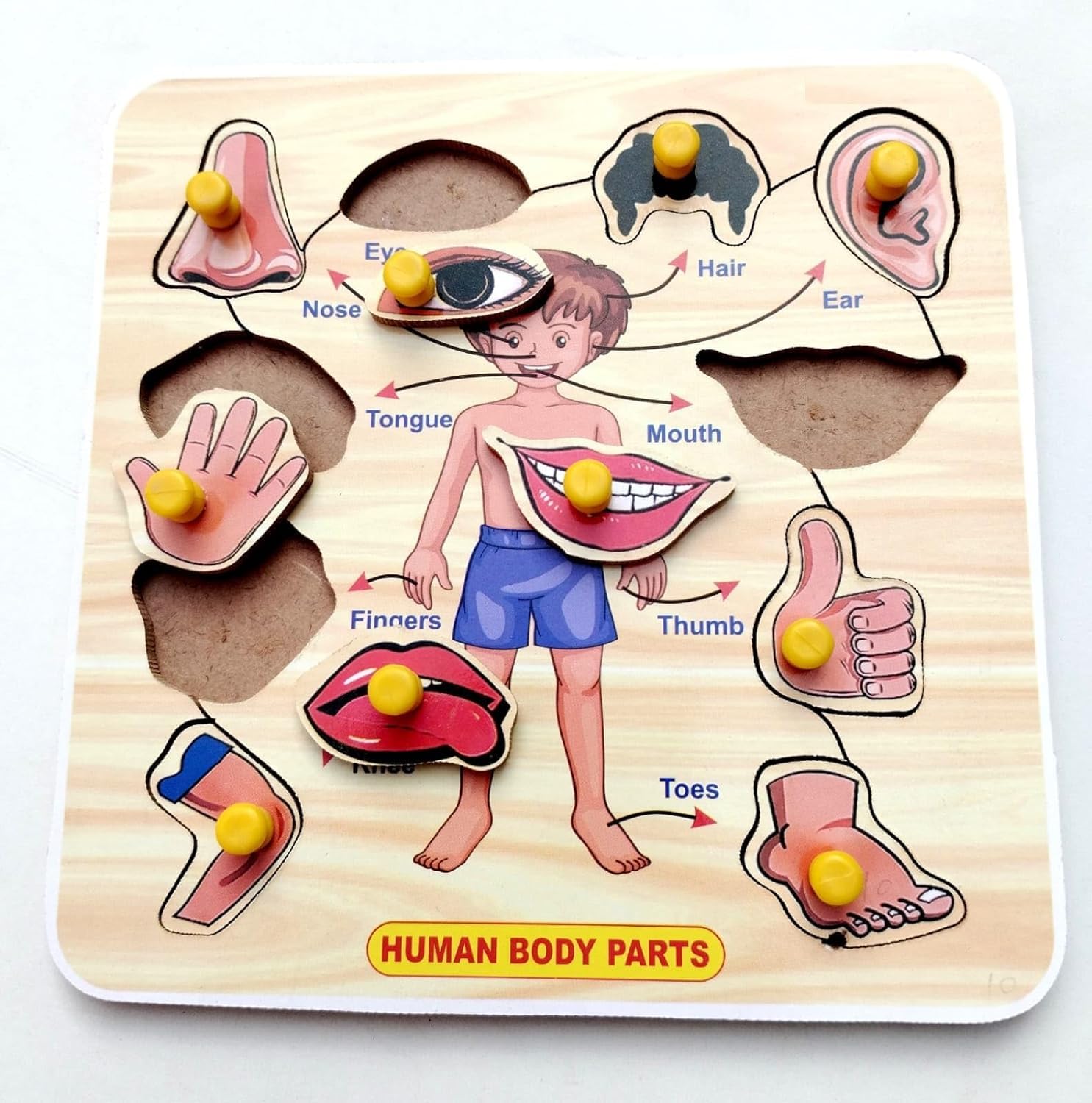 EL SMO Wooden Jigsaw Puzzles - Vegetable Body Parts Learning Game, Educational Toys for Kids & Adults (2-Pack) - Perfect for Family Game Night & Preschool Learning Activities