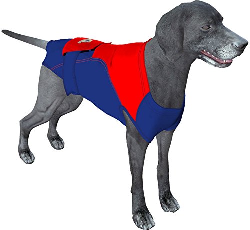 Super-Hero