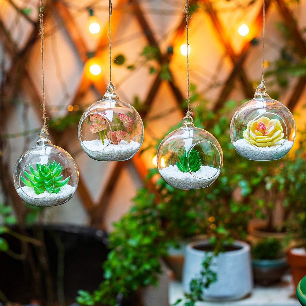 4 Pcs Hanging Glass Terrarium Planters - 4