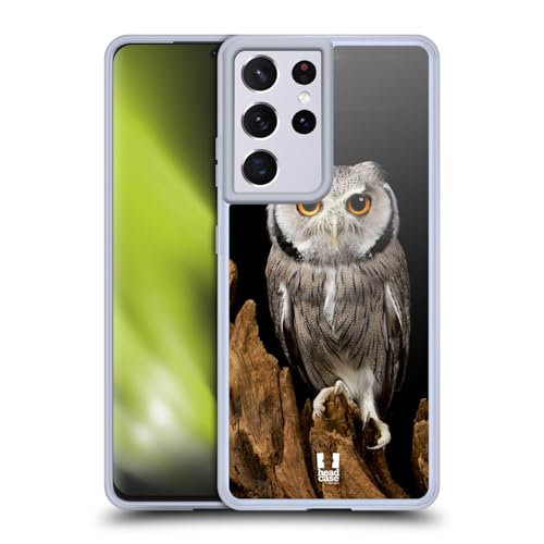 White-Faced Owl