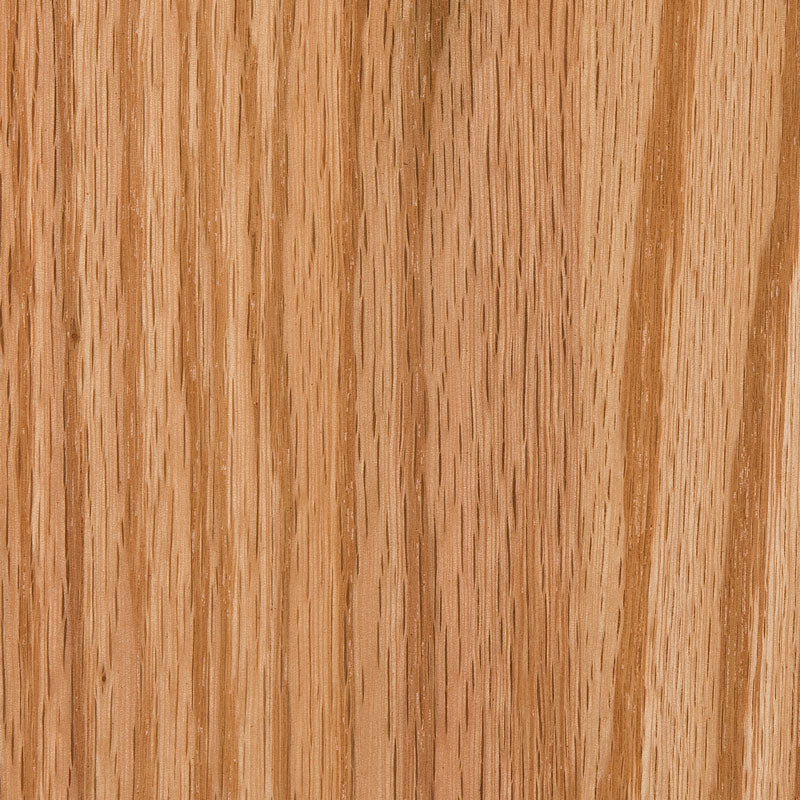 Eddison 24