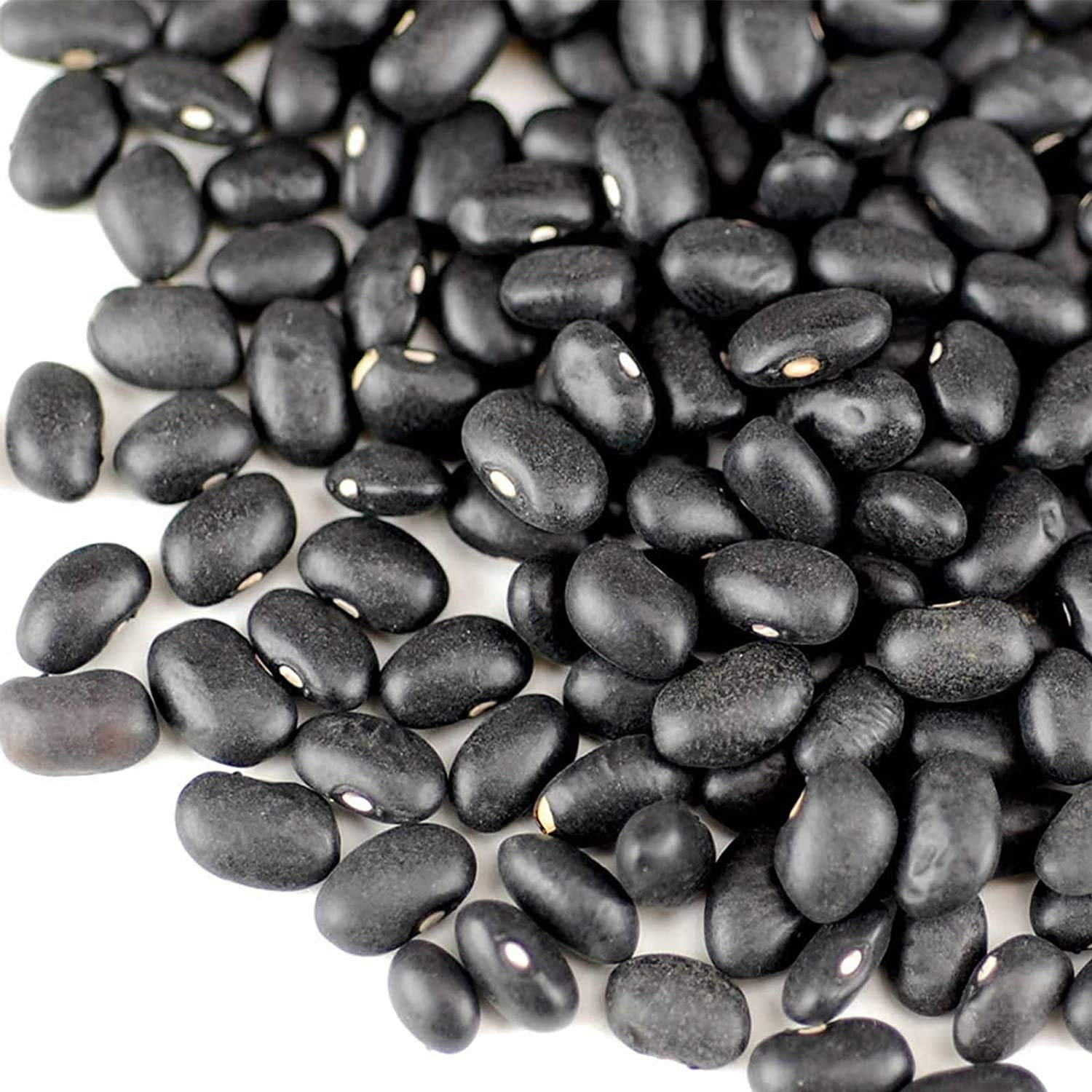 Organic Black Turtle Beans - 35 Lb Bulk (Black Beans/Spanish Black Beans) - Perfect for Sprouting, Cooking & Food Storage - Ideal for Vegan Recipes, Mexican Dishes & Emergency Preparedness