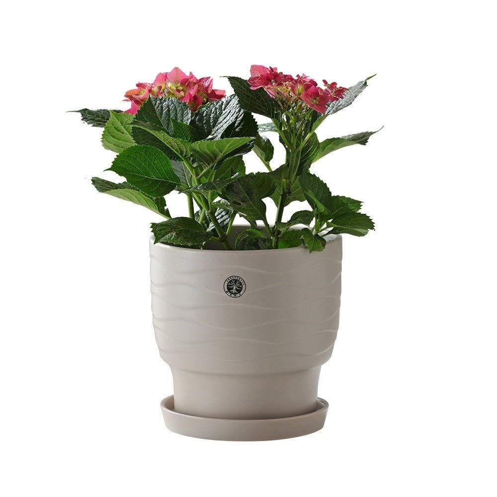 Ceramic Succulent Planter with Drainage Hole & Tray - Flower Pot for Cactus, Plants, Home, Garden, Office & Desk Decor - Perfect for Indoor & Outdoor Use, Tabletops, Windowsills & Gifts