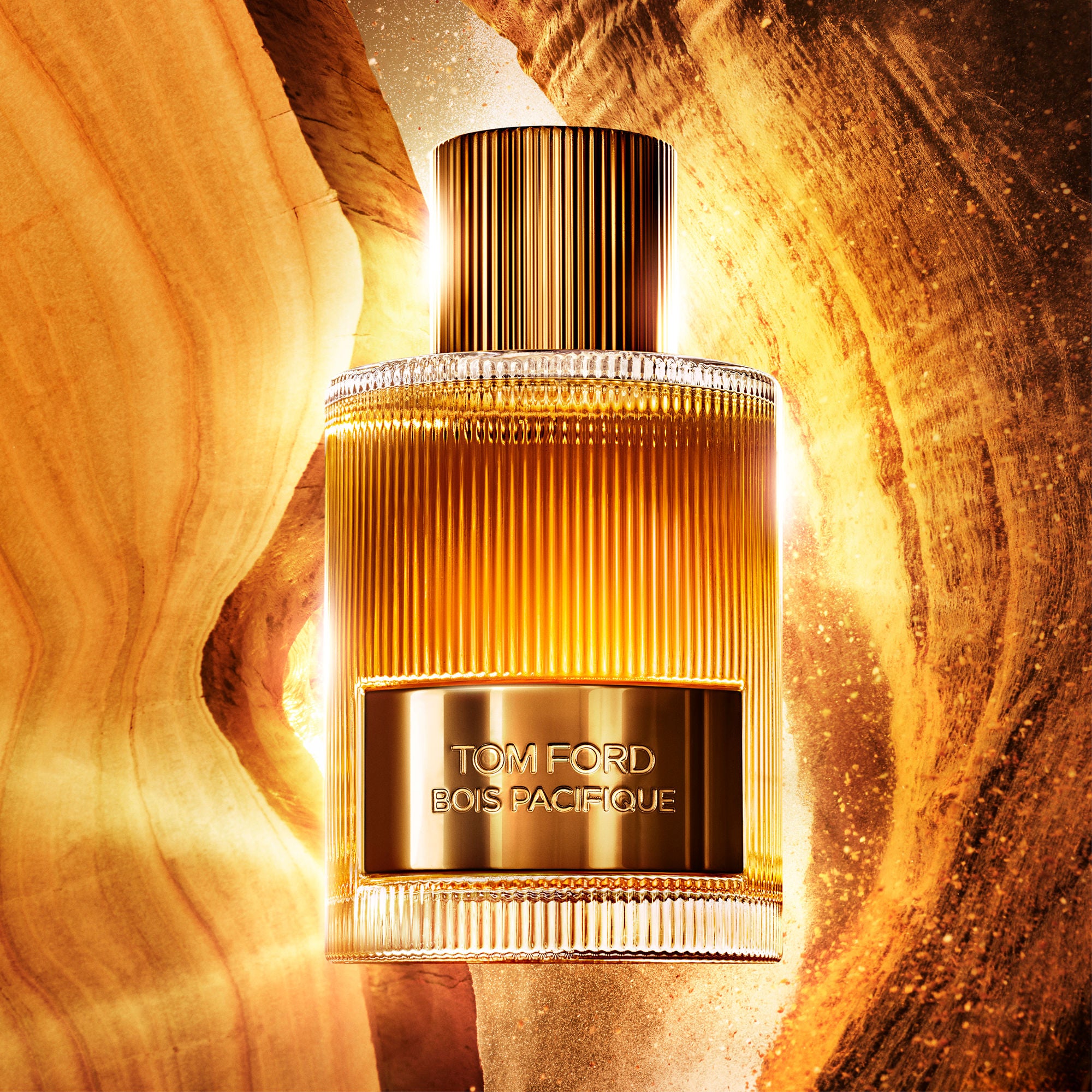 Bois Pacifique Eau De Parfum for Women - Long Lasting Luxury Fragrance with Woody & Aquatic Notes - Perfect for Date Night & Special Occasions