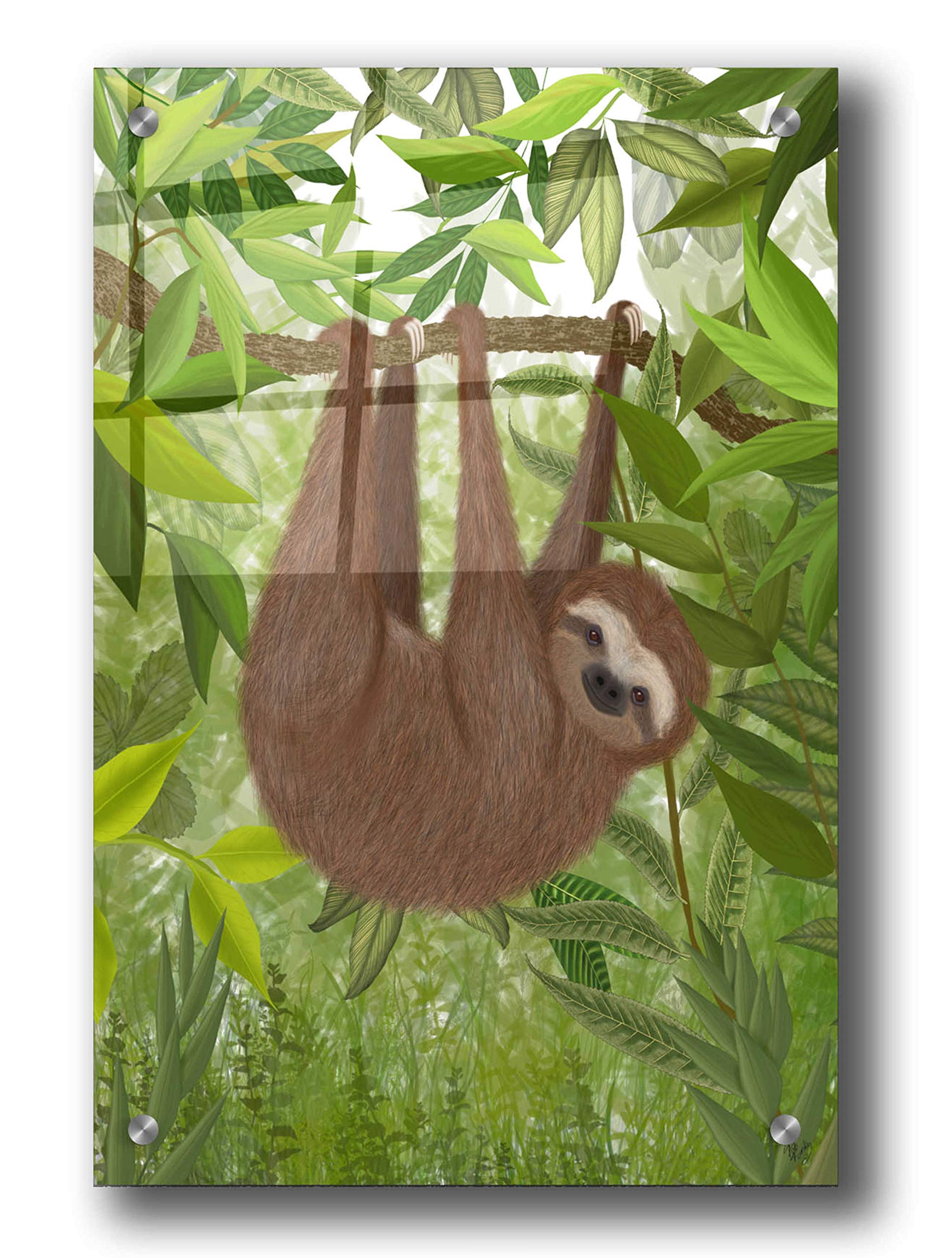 Sloth Hanging Around Acrylic Glass Wall Art - 24x36 Inches Modern Home Decor by Fab Funky - Perfect for Living Room, Bedroom or Office Decor