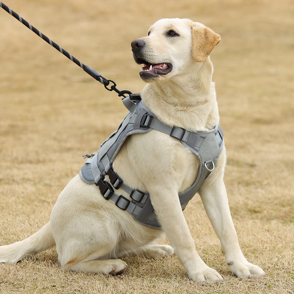 Tactical Dog Harness No Pull - Military Service Vest with MOLLE Panel & Handle for Large Medium Dogs - Perfect for Hiking, Training, Hunting & Walking (Size M, Gray) - Durable Outdoor Adventure Gear for Active Dogs